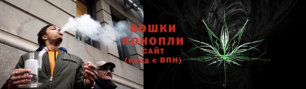 индика Богородск