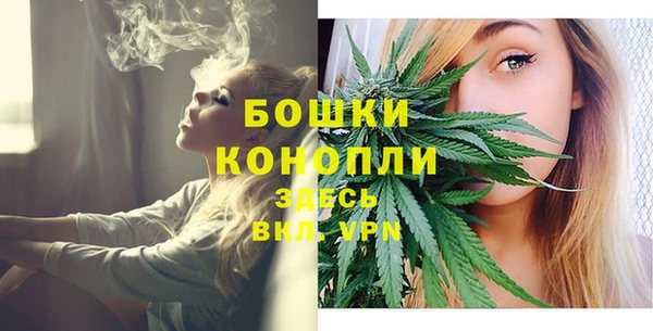 индика Богородск