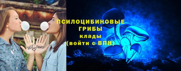 индика Богородск